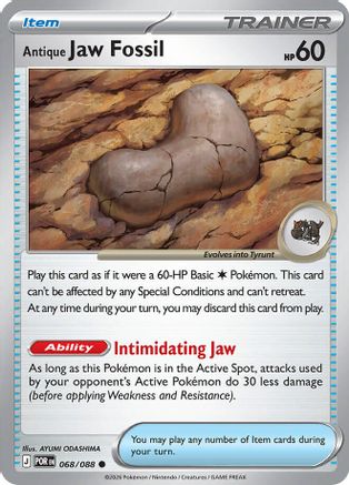 Antique Jaw Fossil 068  ME03 Perfect Order - Common