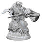 D&D Nolzurs Marvelous Unpainted Miniatures Human Male Wizard